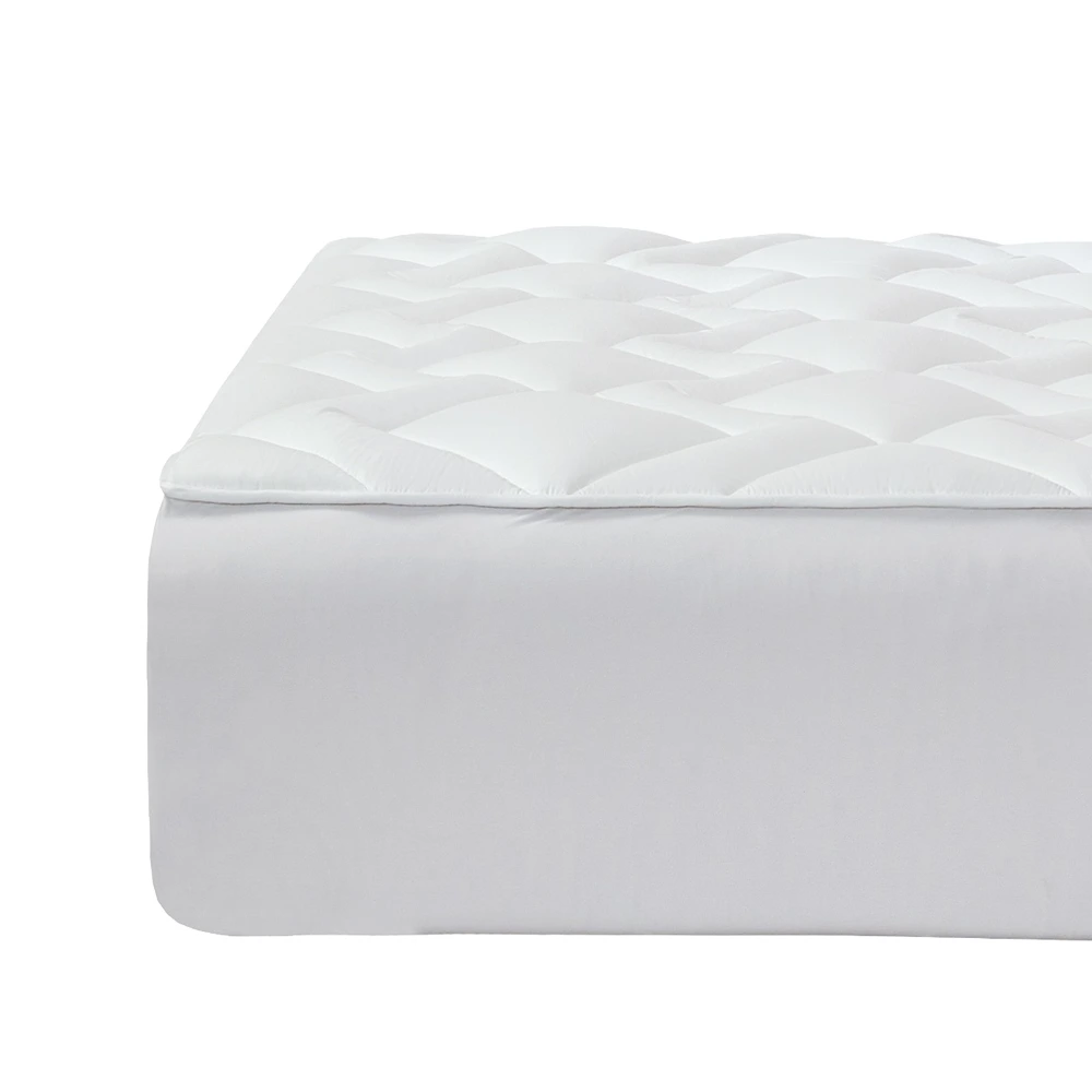 WhatsApp Image 2025-10-12 at 10.37.14_00e0ccd4